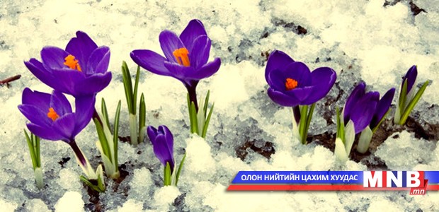 Яргуйг нэг дор олноор идэж болохгүй
