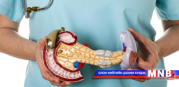 Дэлүүний эсүүд нь хүний биед хортой гадны биетүүдийг танидаг