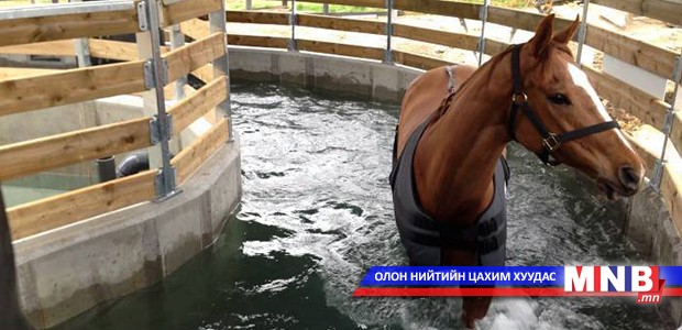 Өндөр хөгжилтэй орнууд морин спортыг хэрхэн анхаардаг вэ