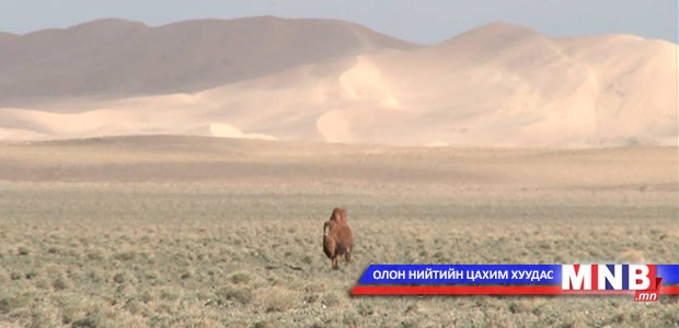 Говийн хангайн хавар