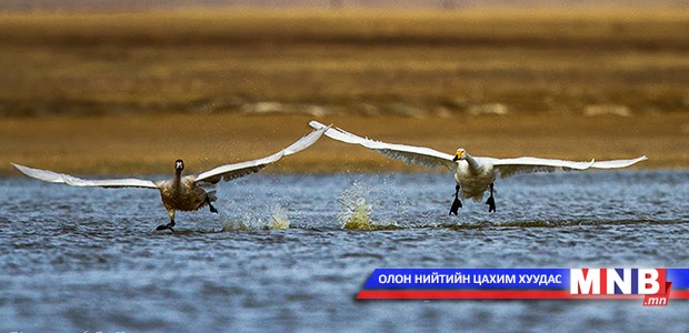 “Нуурын эзэд” үзэсгэлэн нээгдлээ