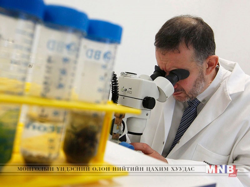 Саудын араб улсад коронавирусын тохиолдол нэгээр нэмэгджээ