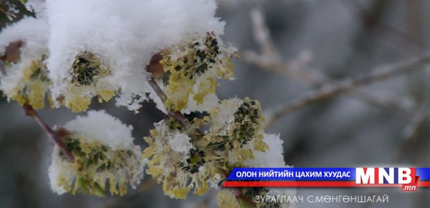 Зураглал