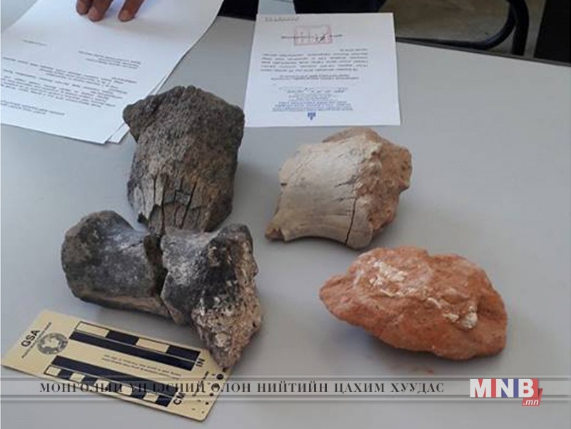 Хилээр 3.65 кг чулуужсан яс гаргах гэж байсныг илрүүлжээ