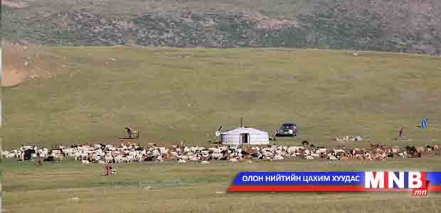Малчид чанарлаг, цөөн тооны малыг илүүд үзэж байна