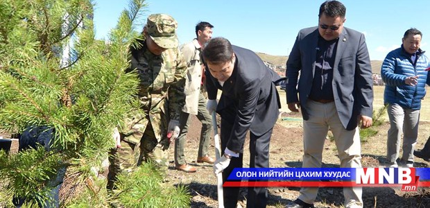 Ерөнхий сайд Ч.Сайханбилэг: Баг, хорооны бичил цэцэрлэг, байгууллагын нэрэмжит ойн төгөл байгуулах санаачилгыг дэмжиж ажиллана