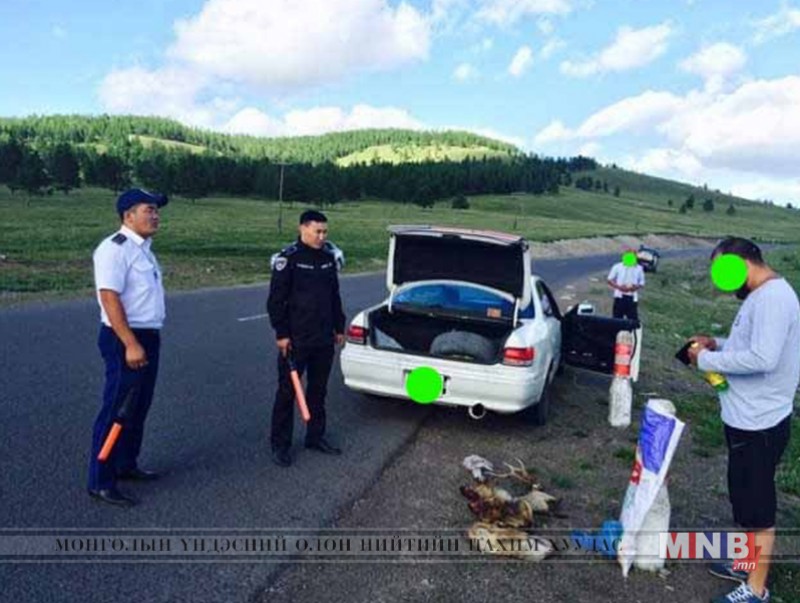 Хууль бусаар тарвага агнаж, мод бэлтгэсэн зөрчлийг илрүүлж байна