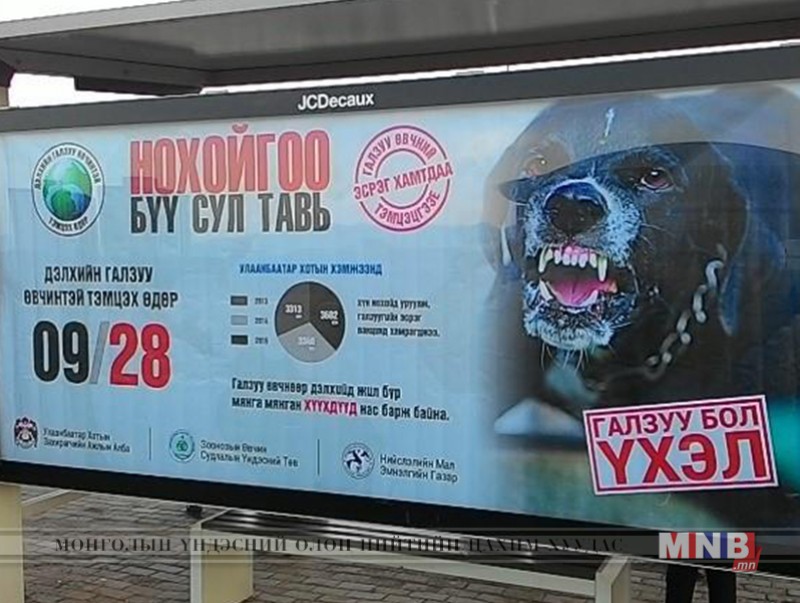 Галзуу өвчнөөс 100 хувь урьдчилан сэргийлэх боломжтой
