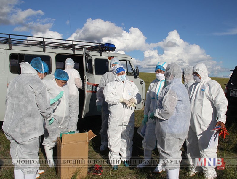 Боом өвчний сэжигтэй бүсэд мэргэжлийн байгууллагын төлөөлөл ажиллалаа