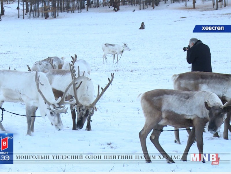 Ш.Содов: Цаа буга байхгүй бол бид тайгын зэрлэг хүмүүс болж хувирна