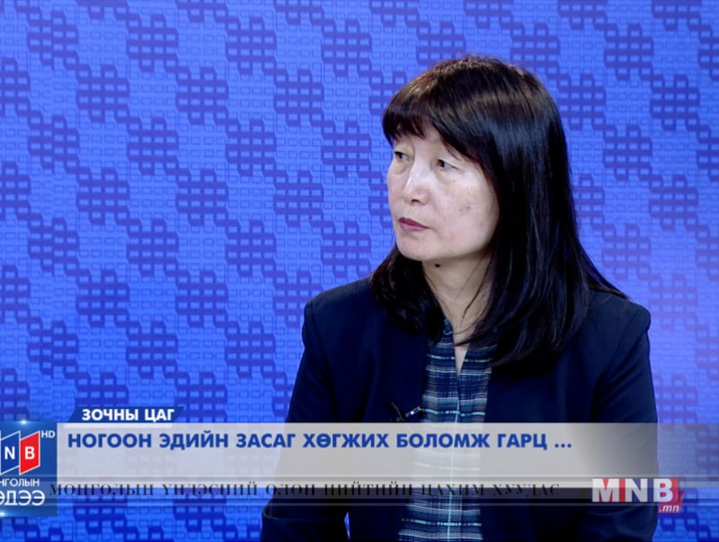 Ногоон эдийн засаг хөгжих боломж гарц