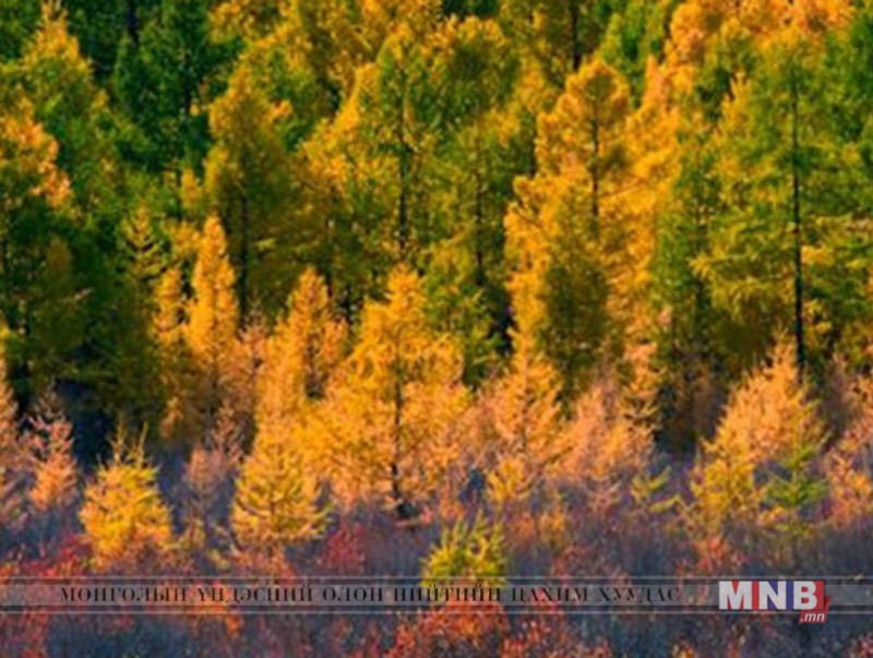 Сураггүй болсон иргэдийг эсэн мэнд олов