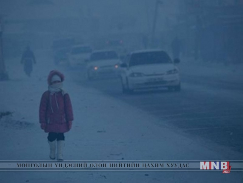 Агаарын бохирдол нялхсын эндэгдлийн шалтгаан болж байна