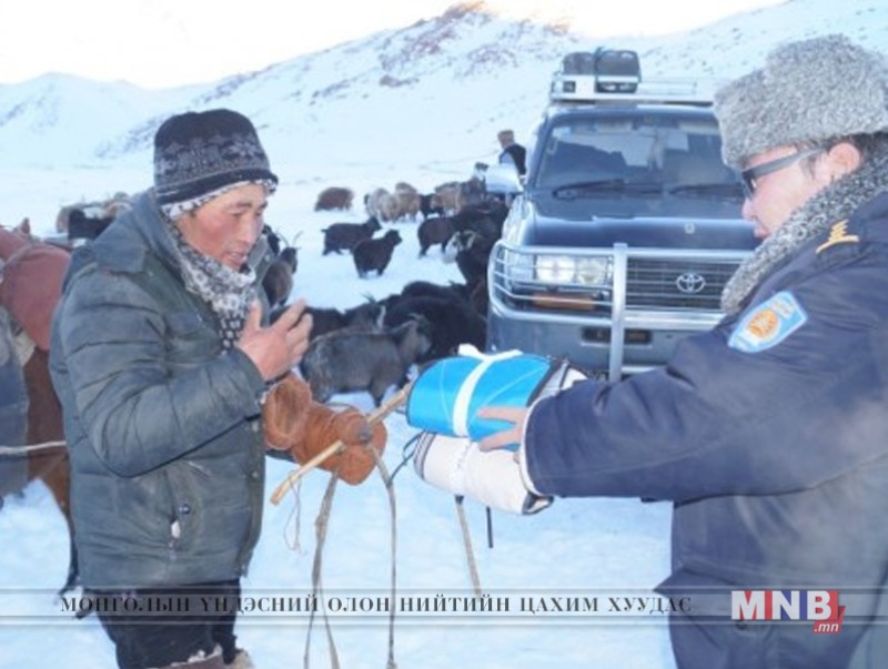 Булган суманд өвөлжилт хүндэрч малчид оторлохоор болов