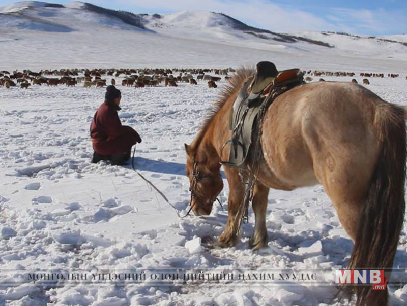 Эрдэнэцагаан суманд хонины нэхий 200 төгрөг байна