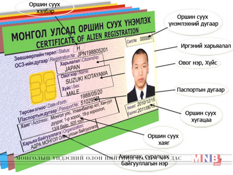 Дархан-Уул аймагт 330 орчим гадаадын иргэн амьдарч байна