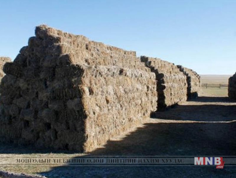 Нөөцийн өвсийг 3500 төгрөгөөр малчдад худалдан борлуулна