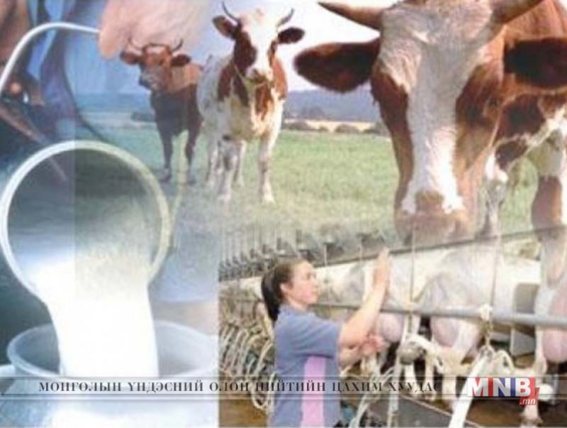 “Мах, сүүний анхдугаар аян”-ыг орон даяар өрнүүлнэ