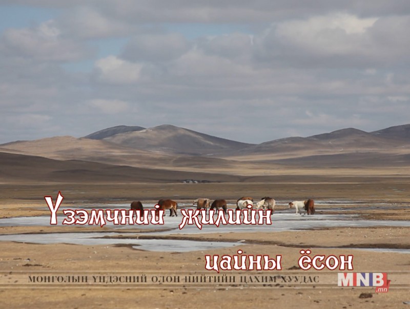 Үзэмчний жилийн цайны ёсон