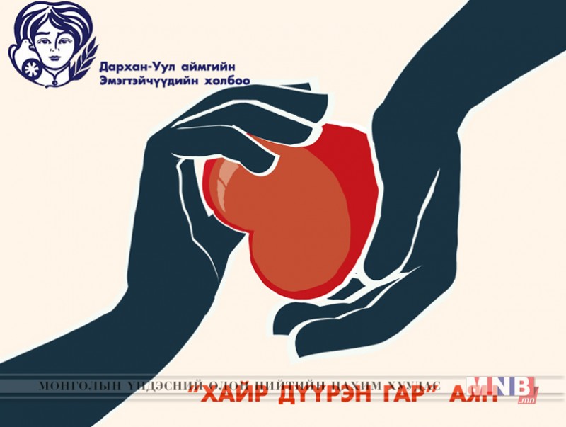 Хайр дүүрэн гараар 55 эмэгтэйд туслана