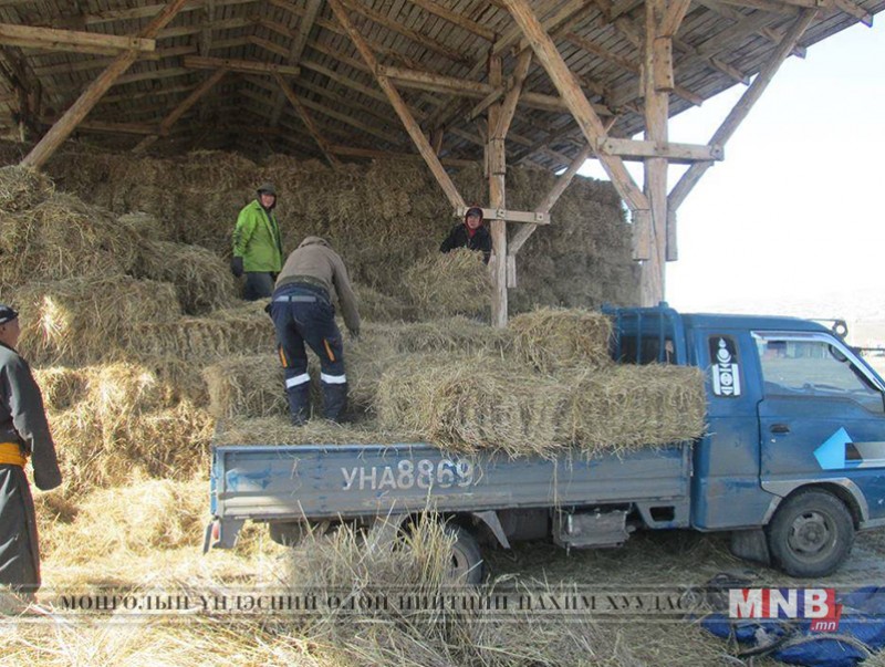 500 боодол өвсийг үнэ төлбөргүй олгожээ