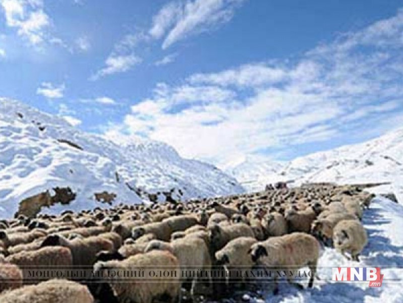 Хөвсгөл аймгийн 12 сум зудтай байна