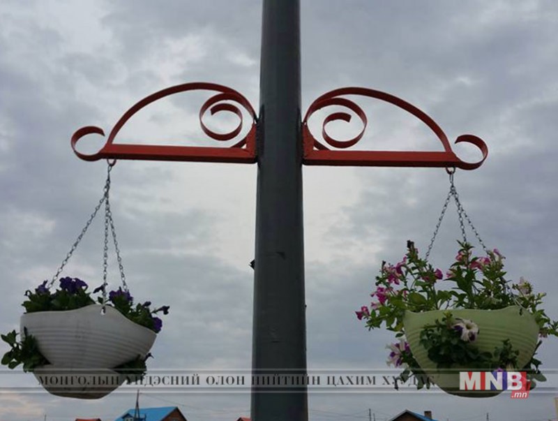Гэрэлтүүлгийн шонд цэцгийн мандал хийж байна