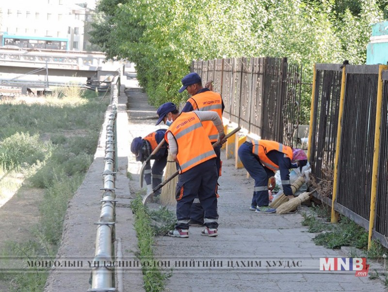 12360 м.кв талбайн шарилж, зэрлэг ургамлыг цэвэрлэв