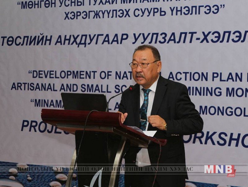 Мөнгөн усны хор хөнөөлөөс байгаль орчноо хамгаалах үндэсний механизм бүрдүүлнэ