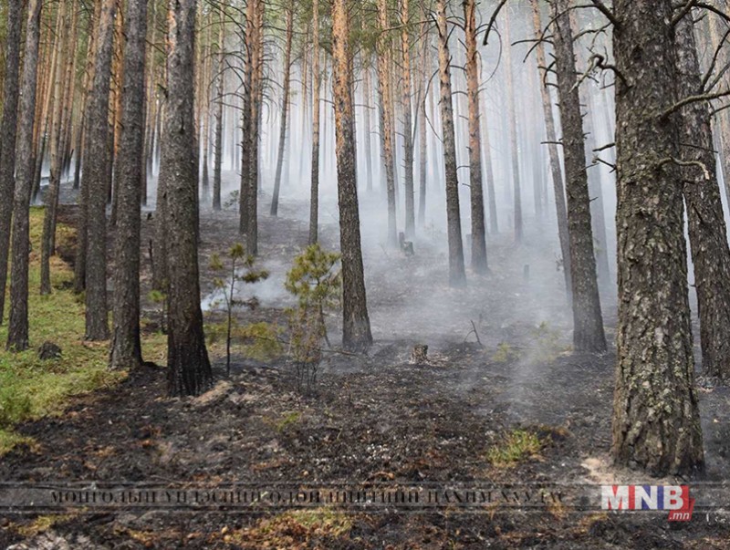 Иргэдийн болгоомжгүй байдлаас болж түймэр гарчээ