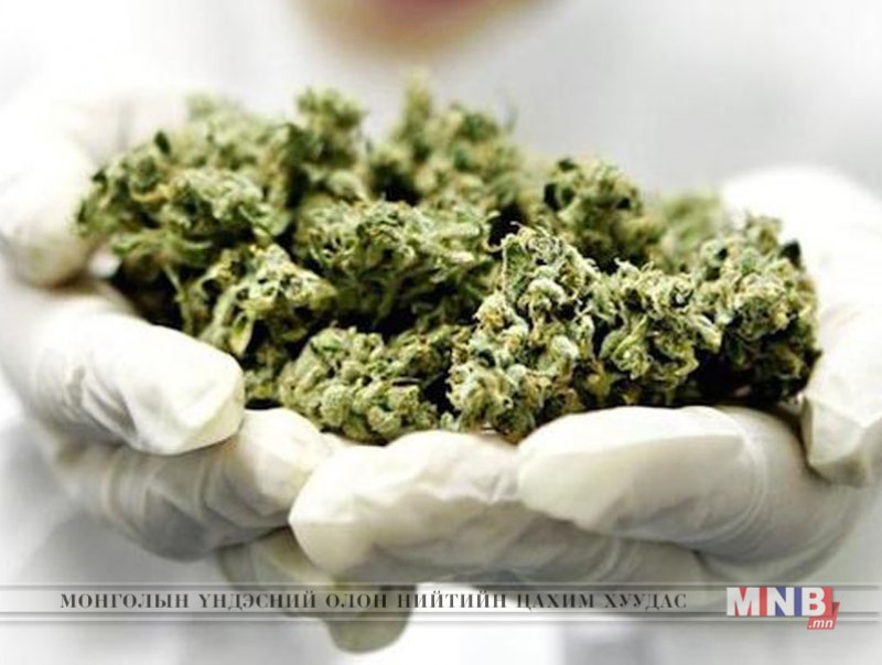 Залуус мансууруулах төрлийн өвс тээвэрлэж явсныг илрүүлэв