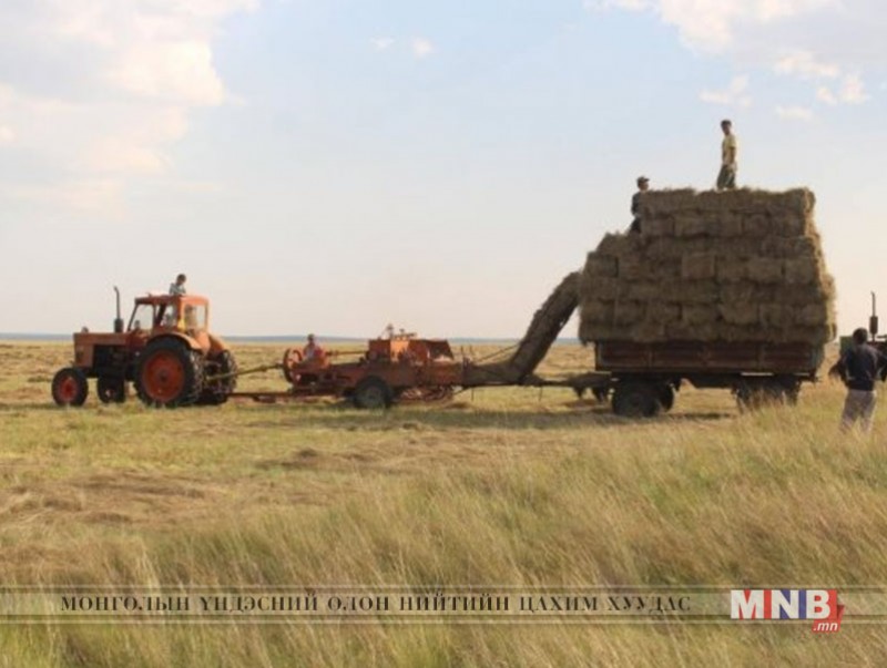 Энэ жил манай улс 850 мянган тонн хадлан, тэжээл бэлтгэх боломжтой