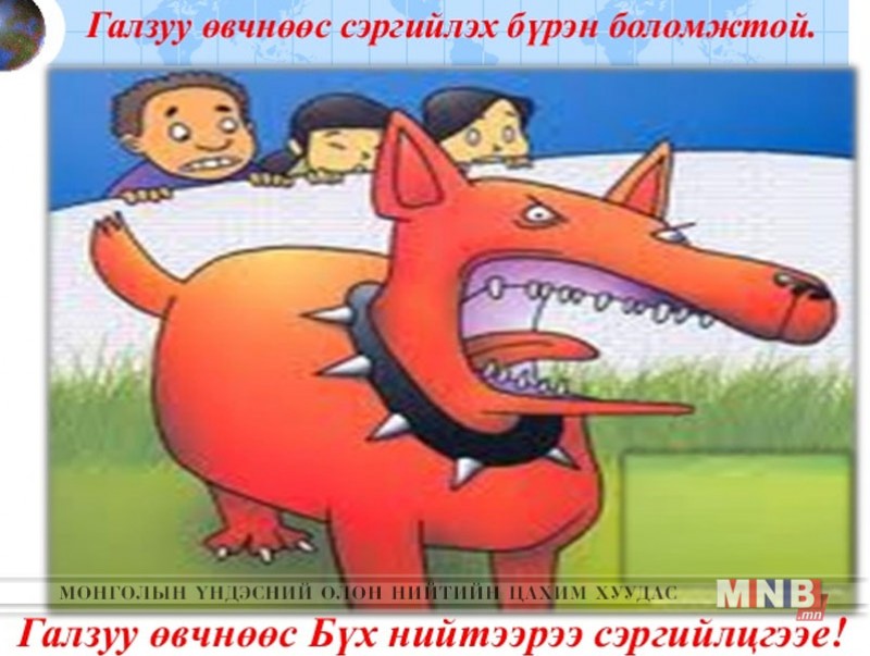 “Галзуу өвчинтэй тэмцэх дэлхийн өдөр” тохиож байна