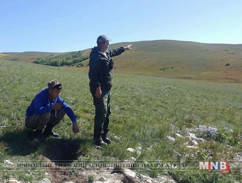 Тарвага тооллого, судалгааны ажлыг эхлүүлжээ