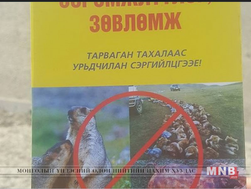 Шүлхий өвчний талаар зөвлөмж тараан ажиллаж байна