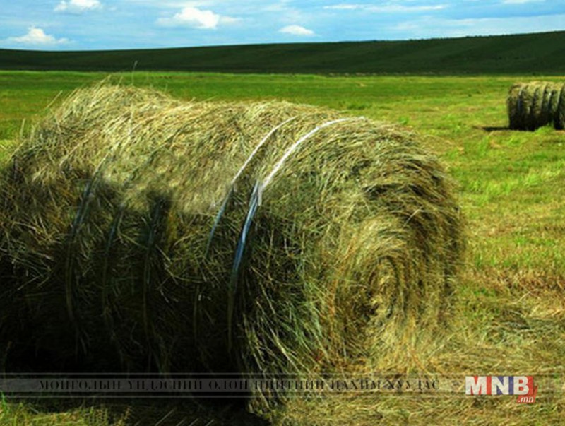 Малчид 471.0 мянган тн өвс бэлтгэжээ