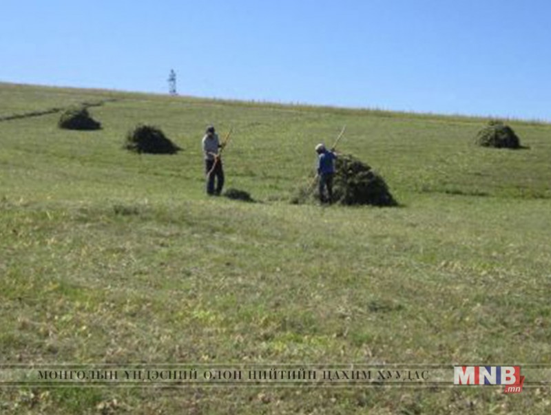 Булган аймгийн сумдад өвөлжилтийн бэлтгэл хангалтгүй байна