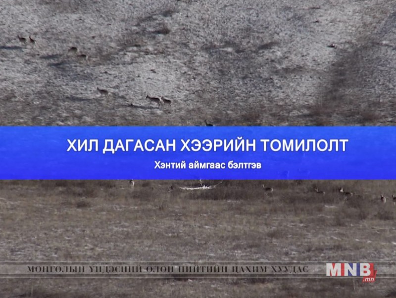 Хил дагасан хээрийн томилолт /2-р хэсэг/