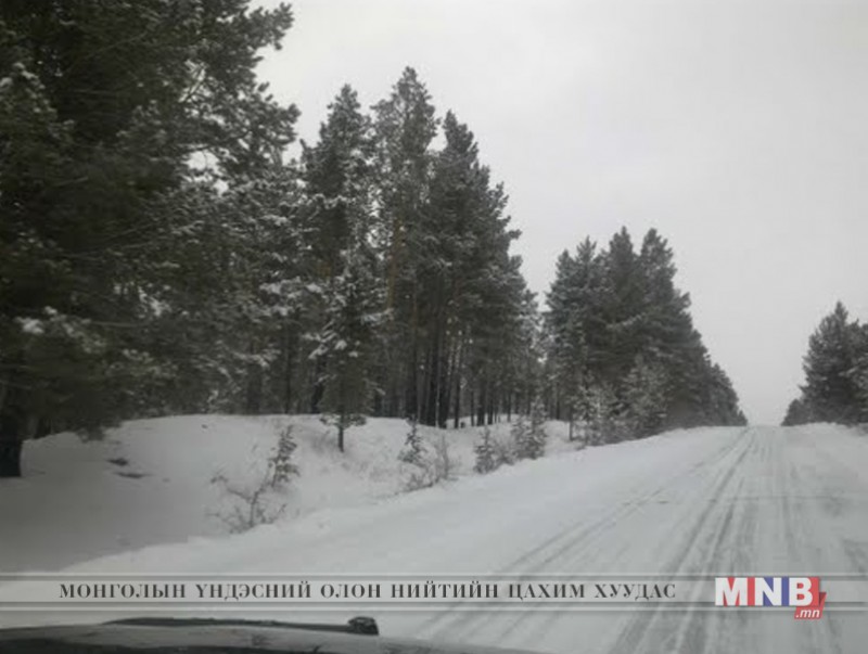 Сэлэнгэ аймагт ойг доройтол, хомсдолоос хамгаалах зөвлөх баг ажиллаж байна