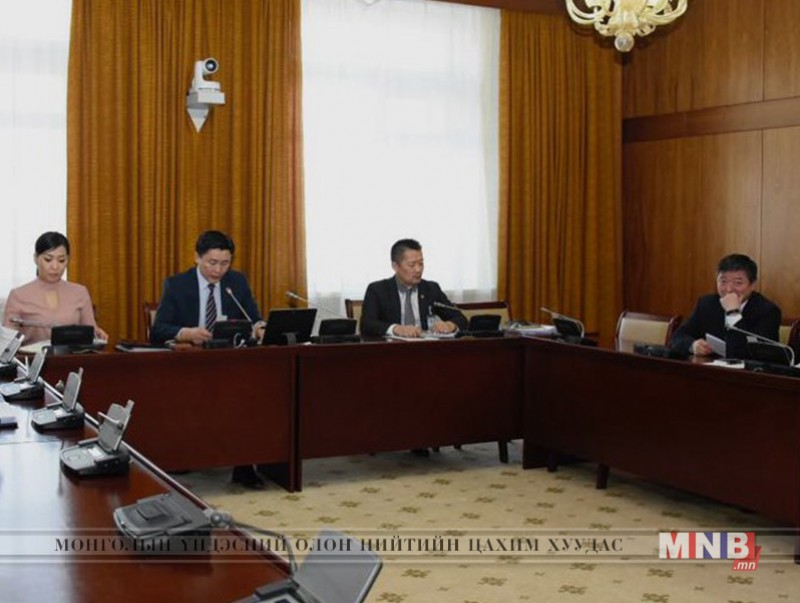 Тогтоолын төслийг анхны хэлэлцүүлгээр нь батлахыг дэмжив