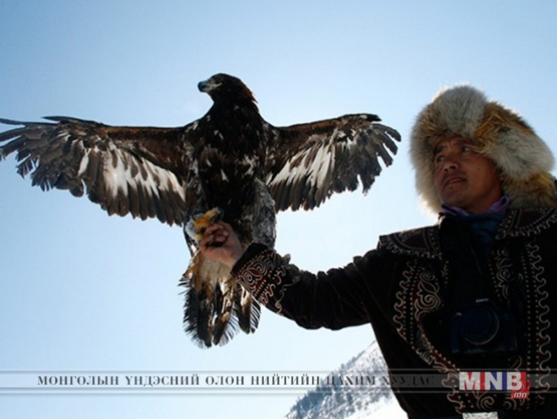 "Бүргэдийн баяр" нийслэлд болно