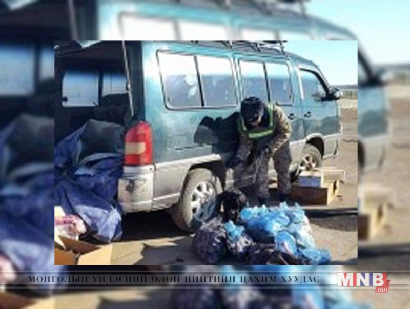 Их хэмжээний үхрийн мах нууцаар улсын хилээр гаргахыг завджээ