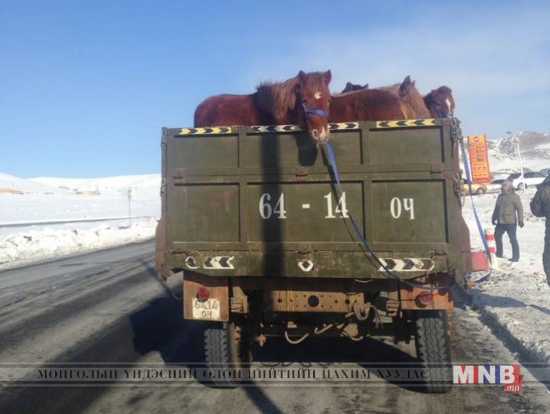 Малын шилжилт хөдөлгөөнийг хийхгүй байхыг анхааруулж байна