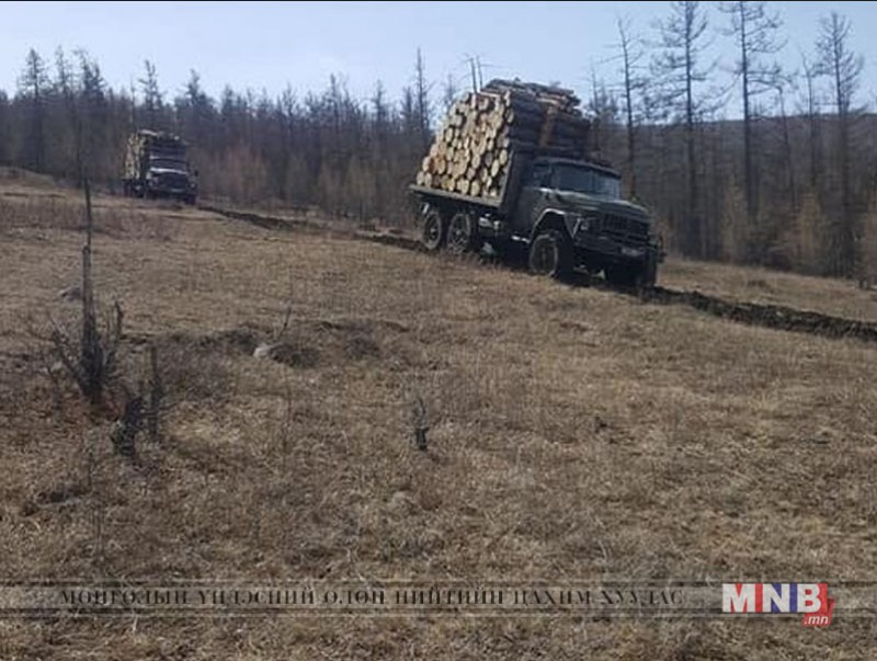 Богд ууланд цэвэрлэгээний огтлолт хийж буй Тод ногоон ХХК-д хяналт тавьж байна