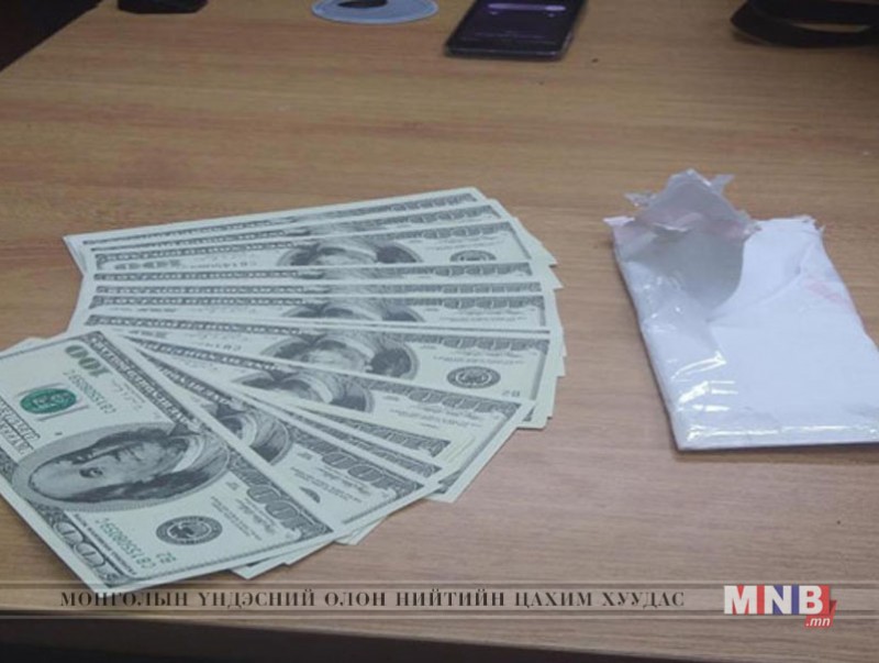Гаалийн шалгалтаар 3100 хуурамч доллар илрүүллээ