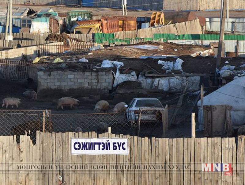 Малын гоц халдварт шүлхий өвчний хорио цээрийн дэглэм цуцлагдлаа