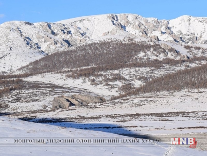 Зэрлэг ан, амьтдыг хамгаалах зорилгоор таван газарт камер суурилуулжээ
