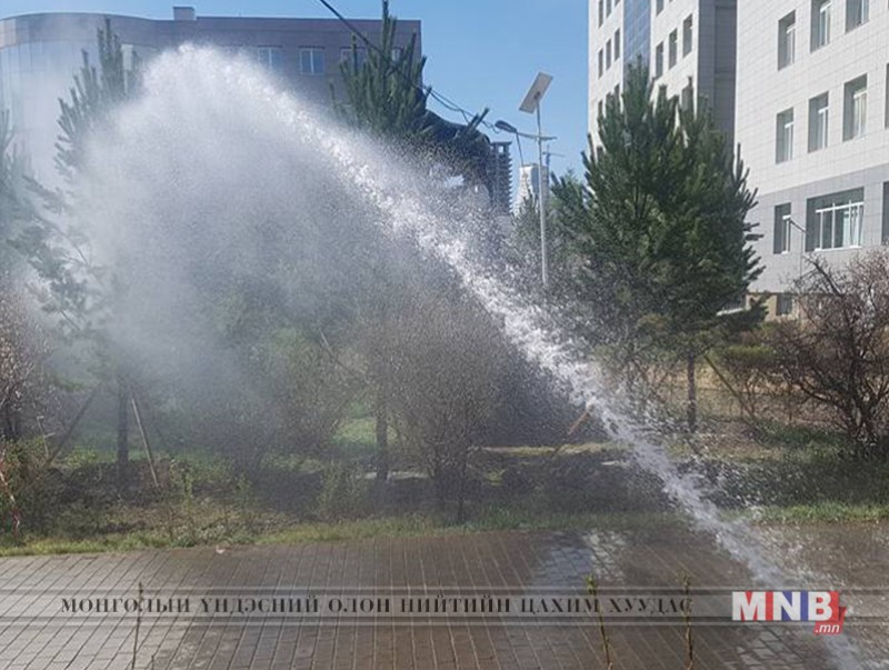 Шилмүүст моддын титэм угаах ажил хийж байна