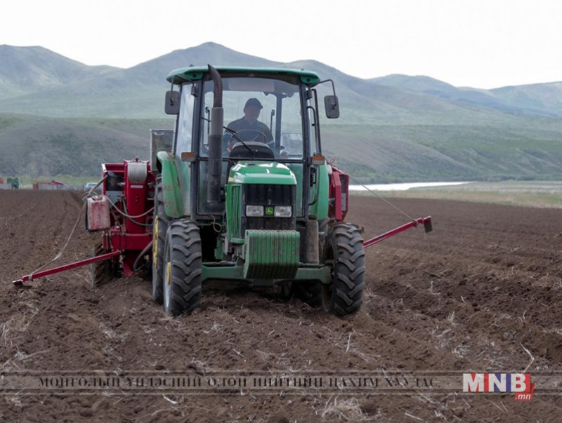 Ховд аймагт хаврын тариалалт 70 хувьтай байна