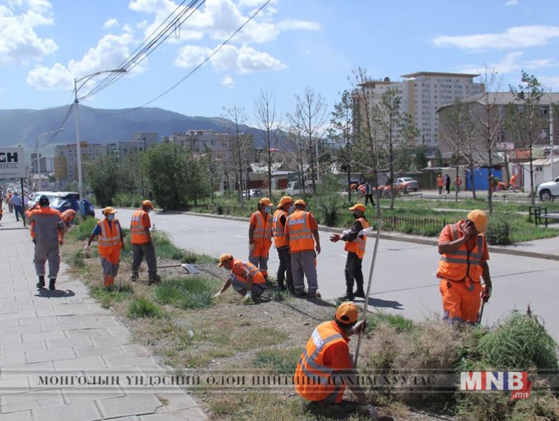 Энэ бямба гарагт бүх нийтээрээ шарилж, луулийг цэвэрлэнэ
